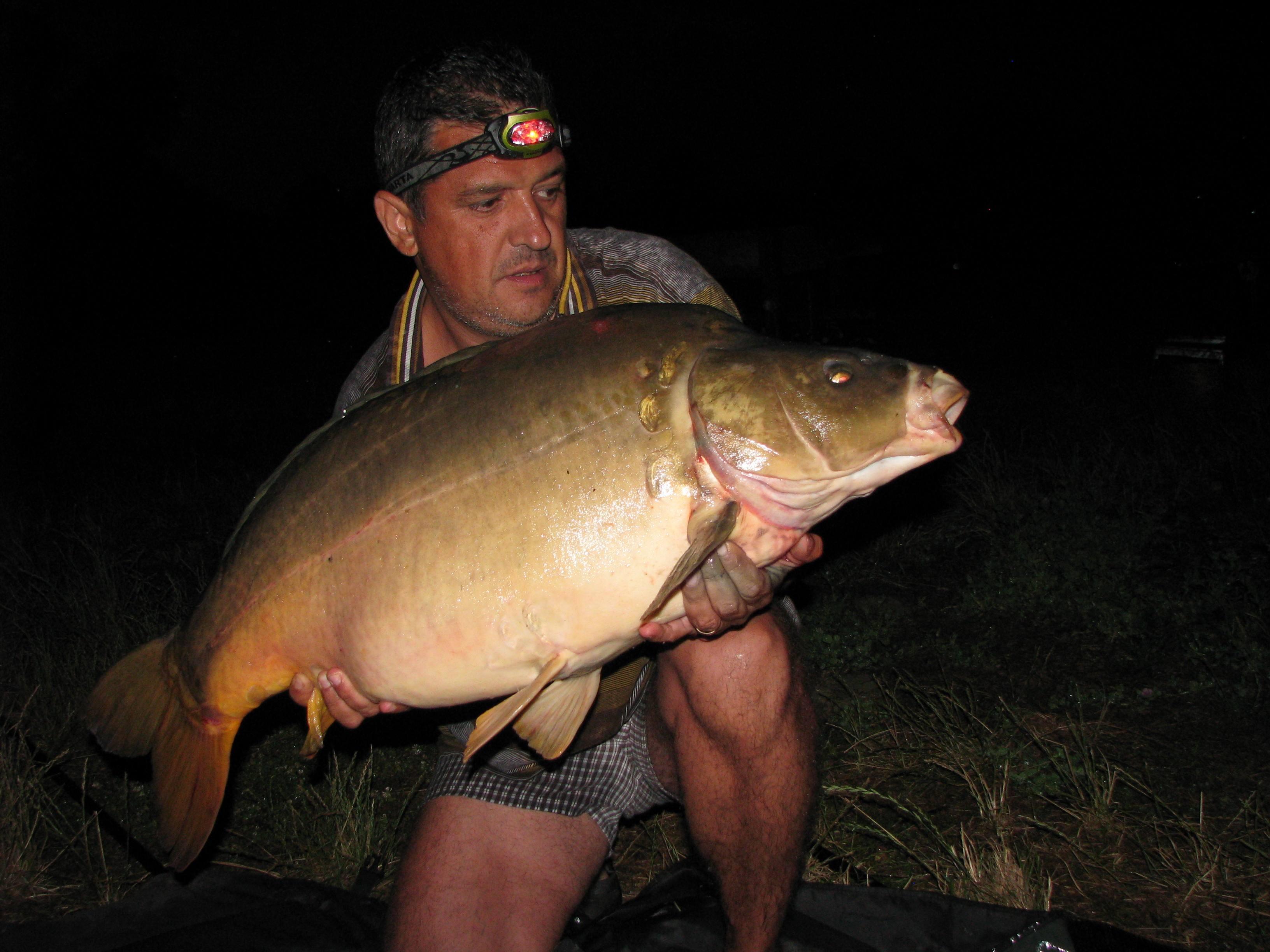 capturi - ovi14,8kg.JPG